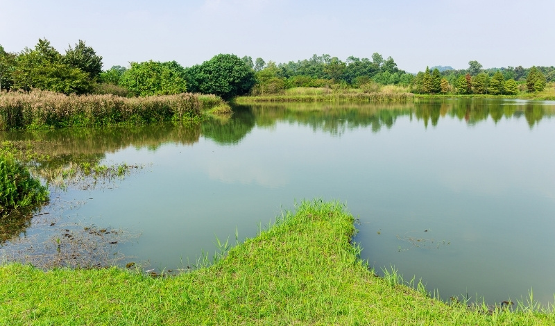 close up of lake